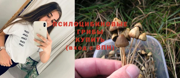 Альфа ПВП Алексеевка