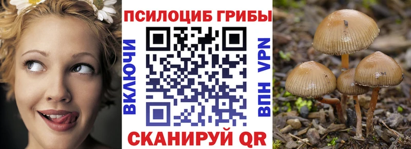 Псилоцибиновые грибы GOLDEN TEACHER  как найти закладки  Игра 